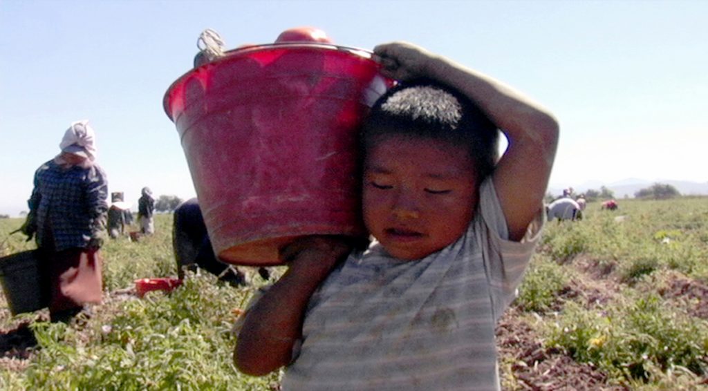 Los Herederos- Les enfants héritiers documentaire Eugenio Polgovsky enfance travail Mexique 21 septembre 2011