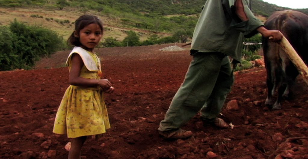 Los Herederos- Les enfants héritiers documentaire Eugenio Polgovsky enfance travail Mexique 21 septembre 2011